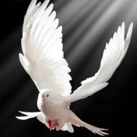 NARWELLE (@narwelle30800) 's Twitter Profile Photo NARWELLE (@narwelle30800) 's Twitter Profile Photo