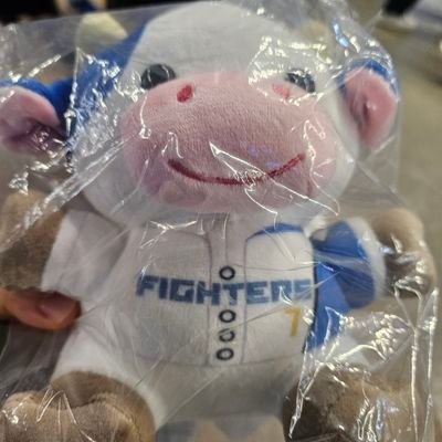 chinnnaaa29's profile picture. ⚾93(94)年
🦊FIGHTERS→#5、#30、#64、#18、🐮→#30、🐰G→#9
野球好きな人仲良くしてくれたら嬉しいです！特に93年はとくべつです
紫耀くん、嵐、Snow Man好きです！