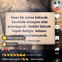 cesur demirkan (@ahmetdmrk63) 's Twitter Profile