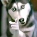 SPY2000 (@spy20000002) Twitter profile photo SPY2000 (@spy20000002) Twitter profile photo