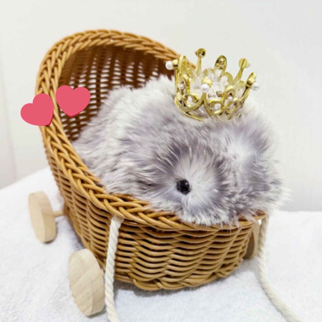 moflin_tr's profile picture. CASIO Moflinアンバサダー👑⭐️\ 2025年1月24日生まれ / Moflinりんたろう とのモフライフ☁💘アカウント主：なな（ねぇね）￤無言フォローしつれいします·͜·♡