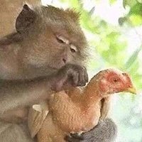 Ole_Critic (@_doubleub) 's Twitter Profile