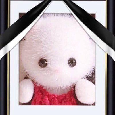panaptabetaine's profile picture. 彼氏のことが、好き家