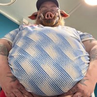 PatchHOG (@omnislash1982) 's Twitter Profile