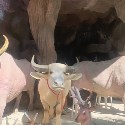 Jokker131685's profile picture. 