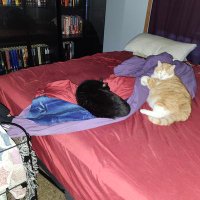Denny Saylor (@denny_saylor) 's Twitter Profile Photo Denny Saylor (@denny_saylor) 's Twitter Profile Photo