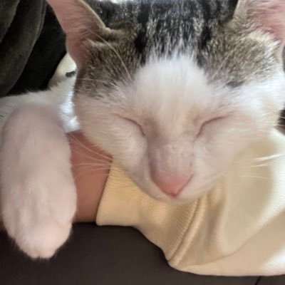 微分さんのプロフィール画像