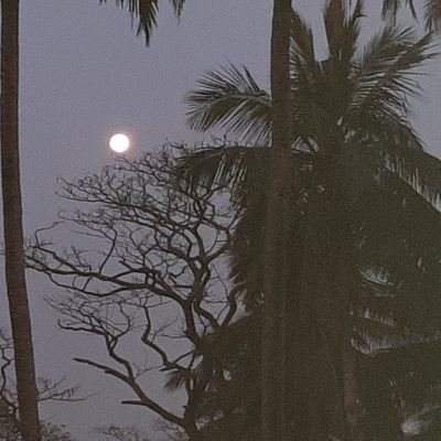 Innovative,Nature lover,calm,love service to mankind and against corruption. From Daruora, Rajnagar,kendrapara, odisha.