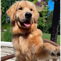 Official__Jinius (@jinius29) 's Twitter Profile