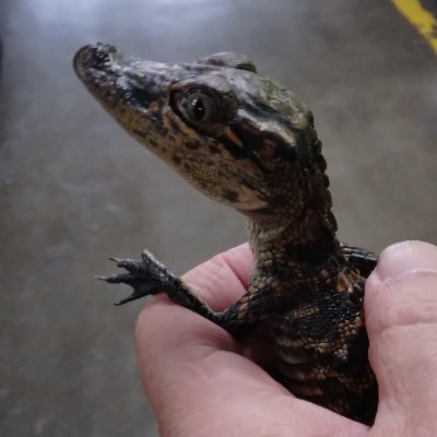 NDNBudSmkr's profile picture. Half Indian, Half Cajun, Full AMERICAN 

Whatever music I post, I do NOT own the rights. It's just a reflection of my thoughts and history of my abuse. No DMs.