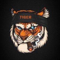 TIGER (@nbylnsr78542) 's Twitter Profile