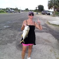 DebaFL (@debbafl66) 's Twitter Profile Photo DebaFL (@debbafl66) 's Twitter Profile Photo