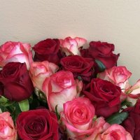 سُنـدس (@4tii7so) 's Twitter Profile Photo