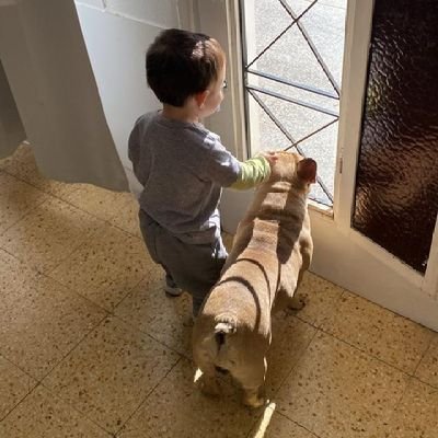 0800juan_'s profile picture. 