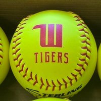 Wittenberg Softball (@wittsb_) 's Twitter Profile