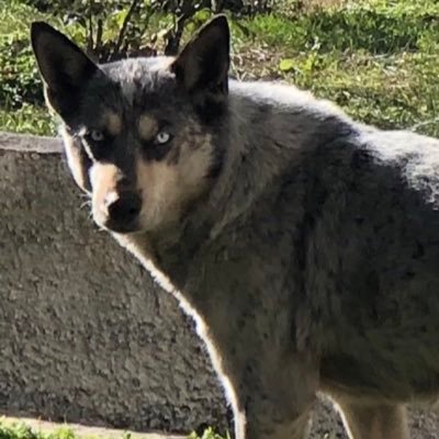 Toprak_Kara04's profile picture. 