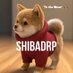 SHIBADRIPPY (@shibadrippycoin) Twitter profile photo SHIBADRIPPY (@shibadrippycoin) Twitter profile photo