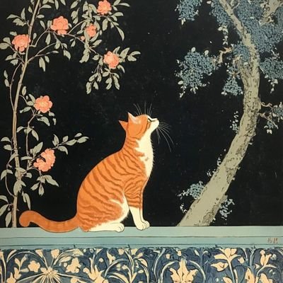 Claubelri's profile picture. 