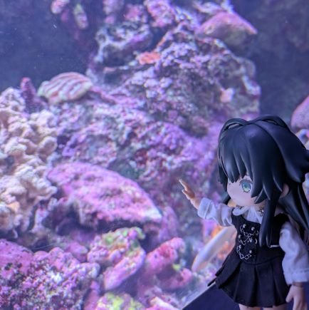 コウさんのプロフィール画像