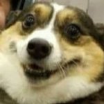 Tastico (@victor_6_6) 's Twitter Profile