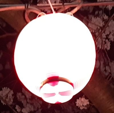 むんさんのプロフィール画像