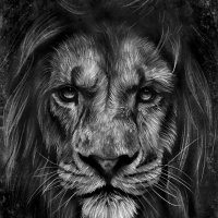 HowardZ (@howardroland0) Twitter profile photo