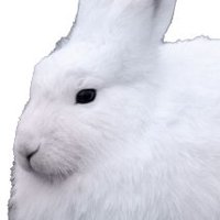 mias.mareninto (@miasmareninto) 's Twitter Profile Photo mias.mareninto (@miasmareninto) 's Twitter Profile Photo
