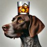 radrob0's profile picture. Crypto stuff… mainly NFTs these days.