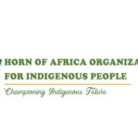 Horn of Africa Organization for Indigenous People (@ofhorn) 's Twitter Profile