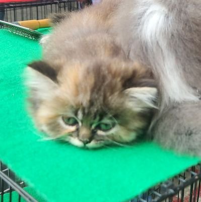 waitforkook's profile picture. 30대여성 | 재테크 | 1차목표 부수입 월 50만원 만들기 | 가슴속에 사직서를 품고살아요 🤍