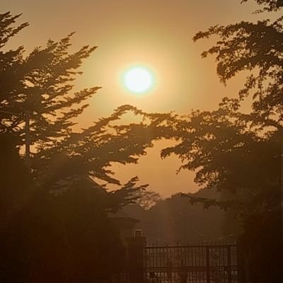 DEMON_JAEGER's profile picture. Live for tomorrow.