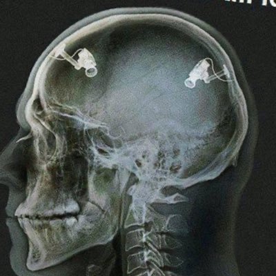 layeronlayeron's profile picture. birds raised in a cage think flying is a disease. noble rot from the land of bread and circuses