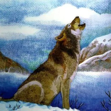 WolfKing_Global's profile picture. 