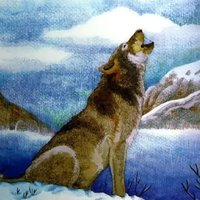 WOLF KING (@wolfking_global) 's Twitter Profile Photo WOLF KING (@wolfking_global) 's Twitter Profile Photo