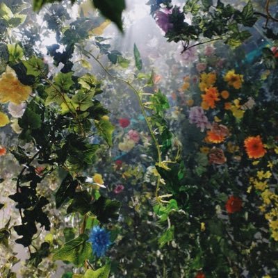 BIGRINA_999's profile picture. Y根さん▶️M山さん▶️T林さん▶️O場さん▶️BIG🌏RINA 腐らず【喜ばれる人になる💐】【圧倒的‼️】