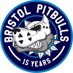 Bristol Honda Pitbulls (@bristolpitbulls) Twitter profile photo Bristol Honda Pitbulls (@bristolpitbulls) Twitter profile photo