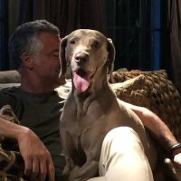 charles lampropoulos (@charleslampro) 's Twitter Profile