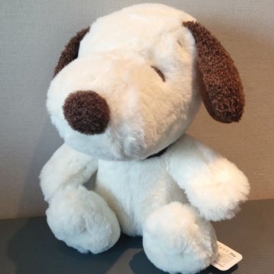 Gさんのプロフィール画像