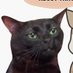 Black Cat Vibes 🐈⬛️ (@mycatisfat333) Twitter profile photo Black Cat Vibes 🐈⬛️ (@mycatisfat333) Twitter profile photo