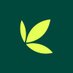 Bamboo (@investbamboo) Twitter profile photo Bamboo (@investbamboo) Twitter profile photo
