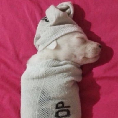 ttiigglove's profile picture. =⩊=