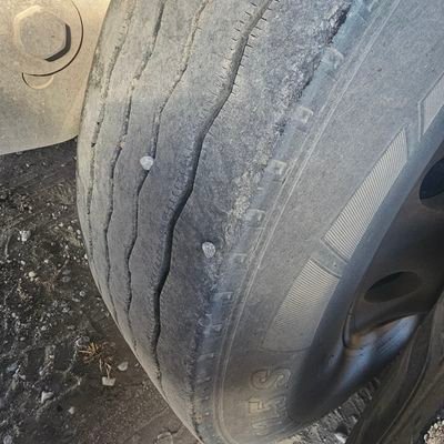 BovineChauffer's profile picture. No one reads this part anyway.....