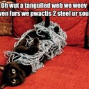 Chris Kugler - @SWTORWodarr - Twitter