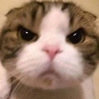 ま (@ichito0807) 's Twitter Profile