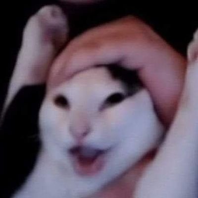 mashiro19944981's profile picture. 