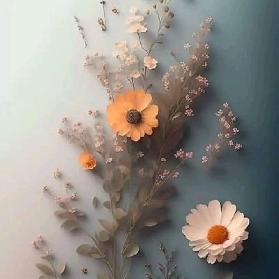 اوسنی مو ايکسټرا ژوندون ده کنه!موژ بايد مخکې لا ويده وای