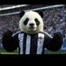 Beşiktaş'ın Pandası (@besiktaspan71) Twitter profile photo Beşiktaş'ın Pandası (@besiktaspan71) Twitter profile photo