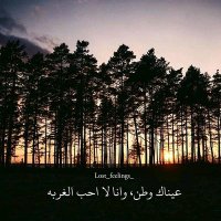 Saleh S (@satersa5) 's Twitter Profile