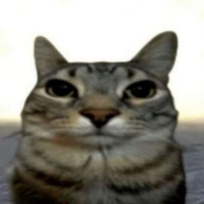 salamenty's profile picture. 시작되는순간끝나버린판단기횐오직OnetimeUnforgettable찾아낸Therightlight사라지지 않아눈에새긴One timeUnforgettable