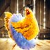 Chick N. Farm (@tippybunz) Twitter profile photo Chick N. Farm (@tippybunz) Twitter profile photo